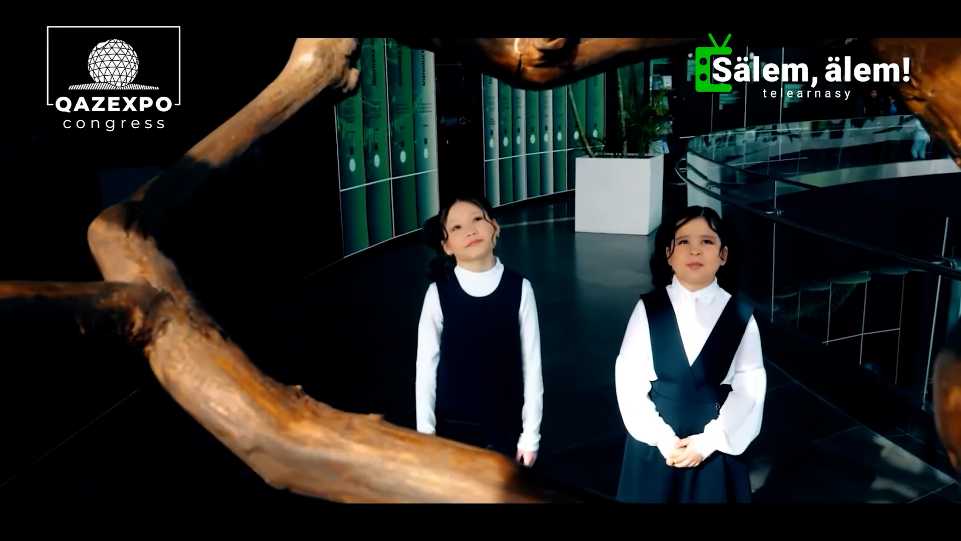 Промо видео